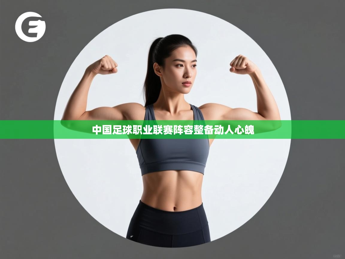 中国足球职业联赛阵容整备动人心魄  第1张