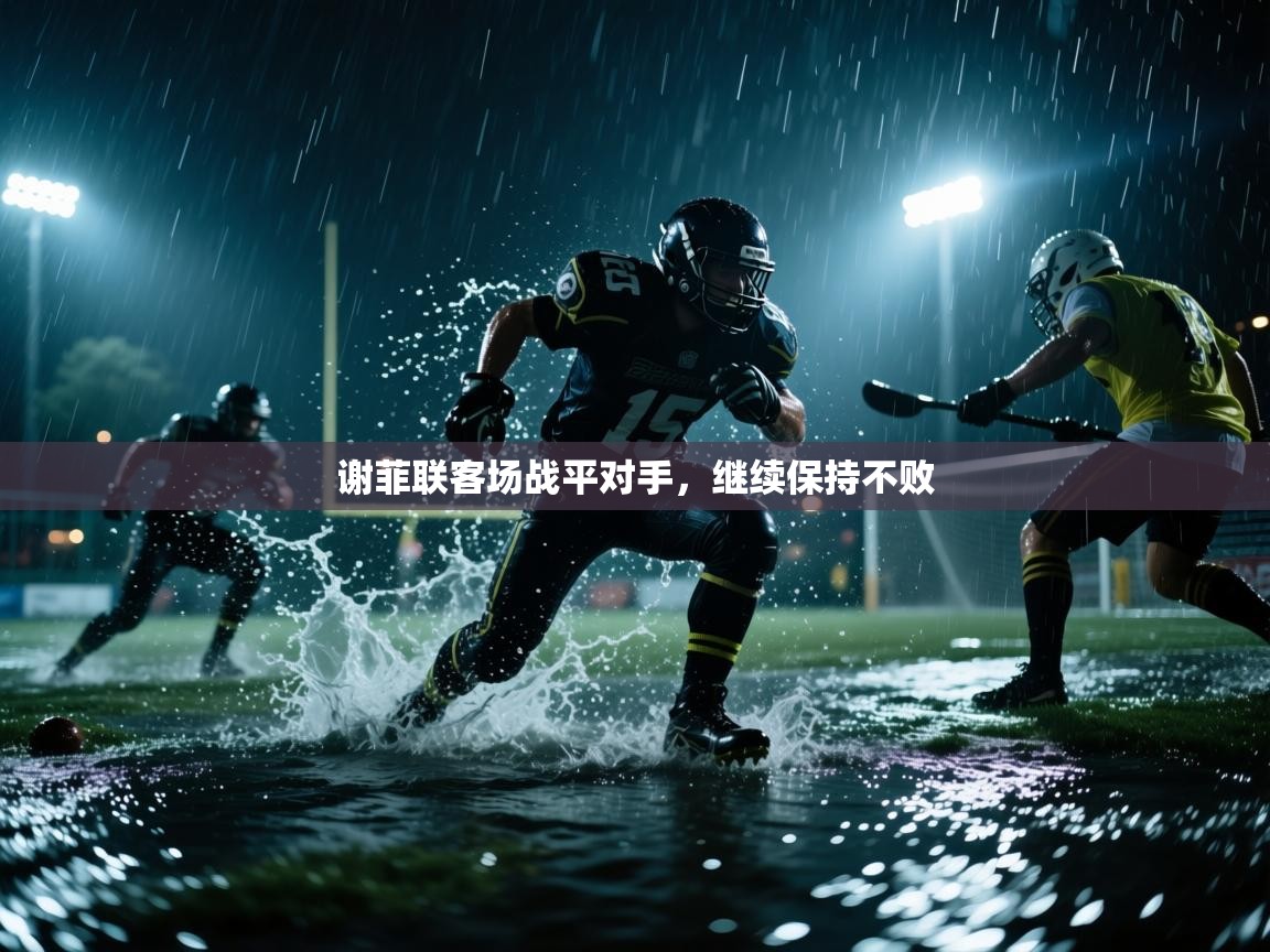 谢菲联客场战平对手，继续保持不败  第2张